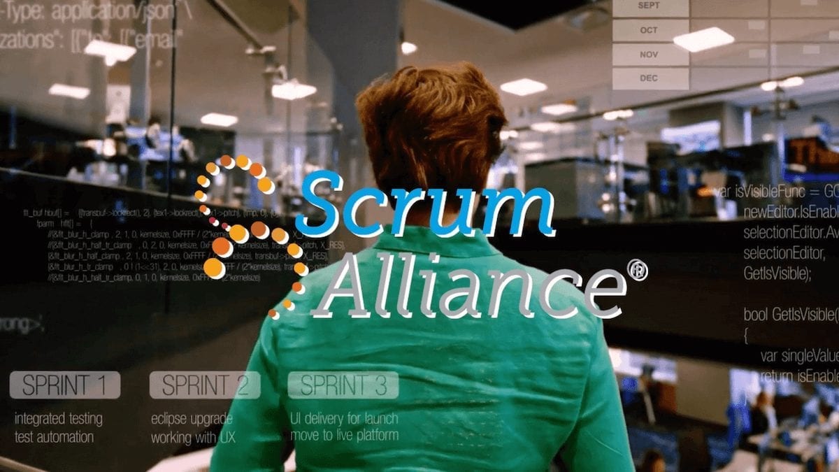 Video Marketing Agency - Scrum Alliance Sample