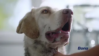 Bona Muddy Paws